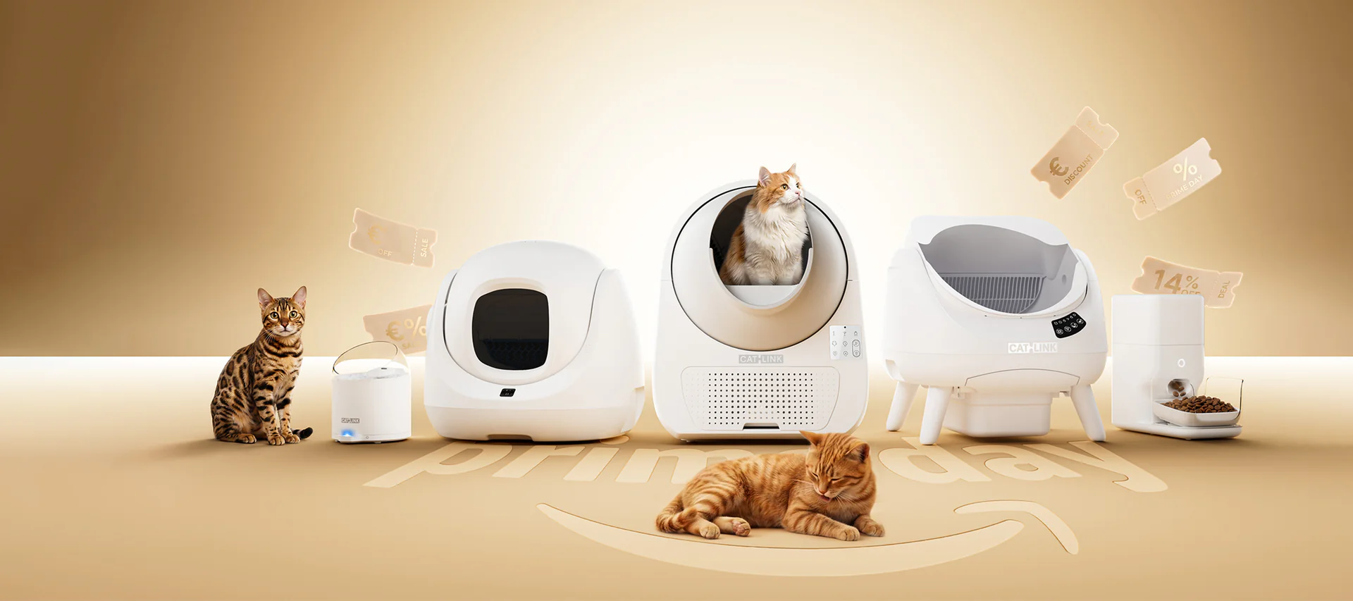 Smart Care for Happy Cats